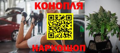 наркотики Гусев
