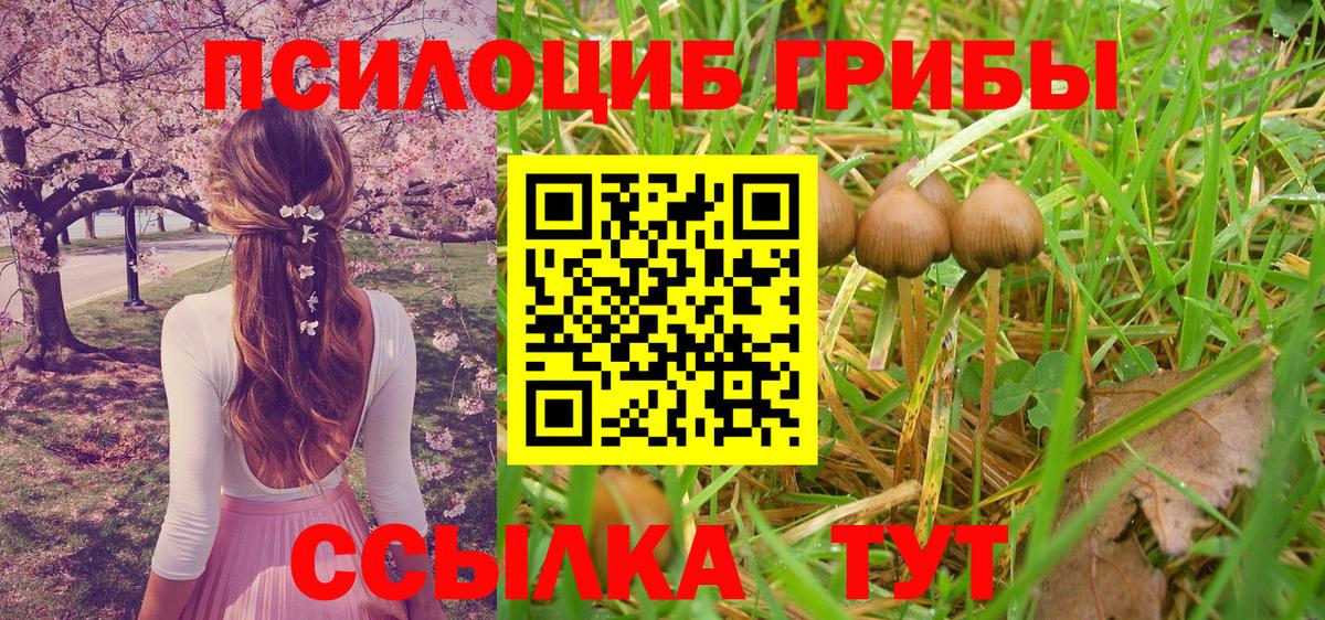 Галлюциногенные грибы GOLDEN TEACHER Междуреченск